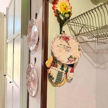 Cicci's House チェファル